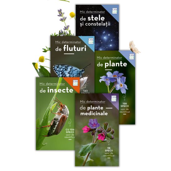Pachet de mici determinatoare - 5 carti