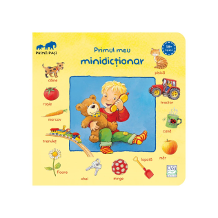 Primul meu minidicționar
